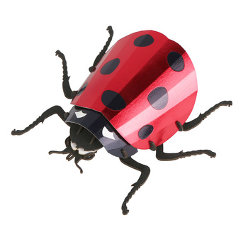 BUM BUM Puzzle 3D Biedronka