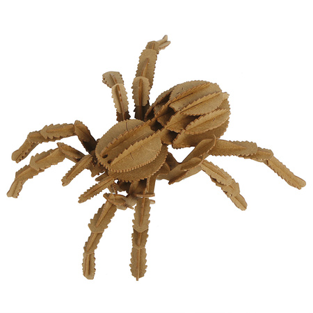 BUM BUM Puzzle 3D Tarantula